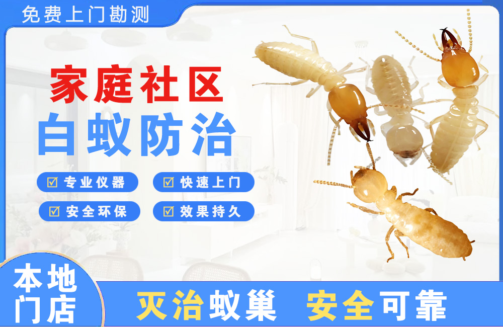 马鞍山家庭社区白蚁防治