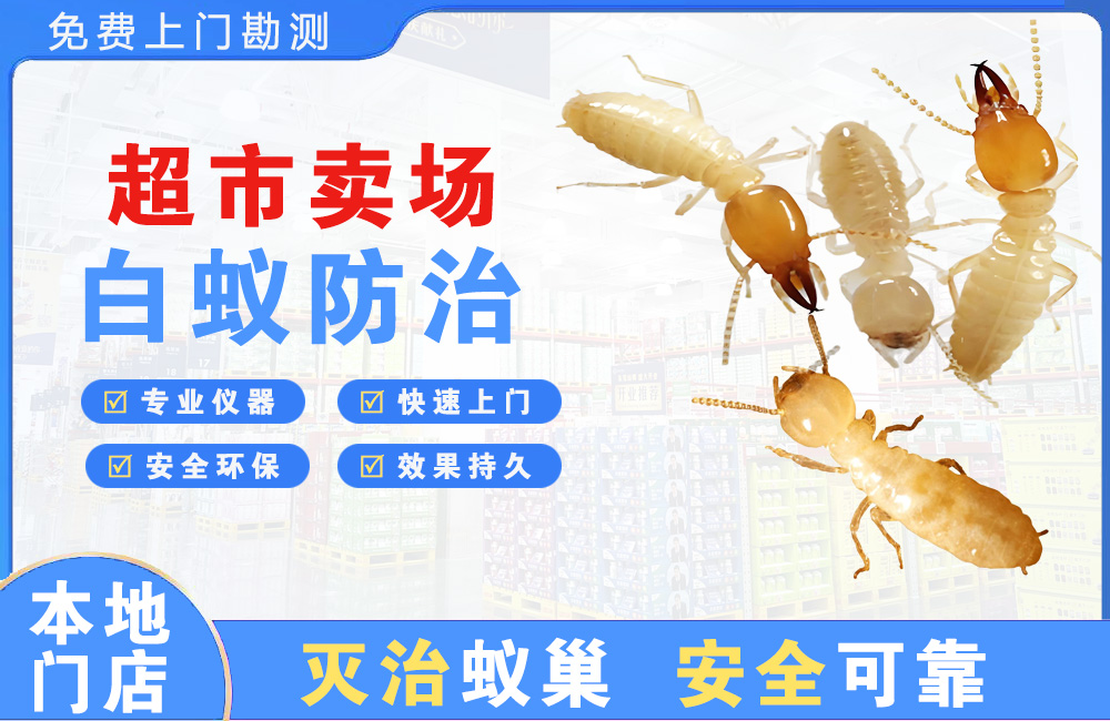 马鞍山超市卖场白蚁防治