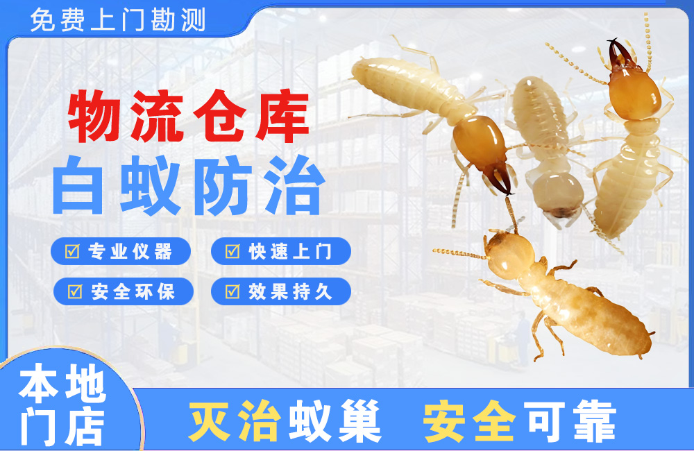 马鞍山物流仓库白蚁防治