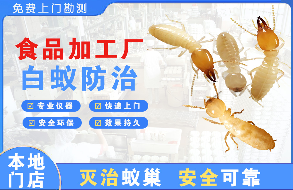 马鞍山食品加工厂白蚁防治