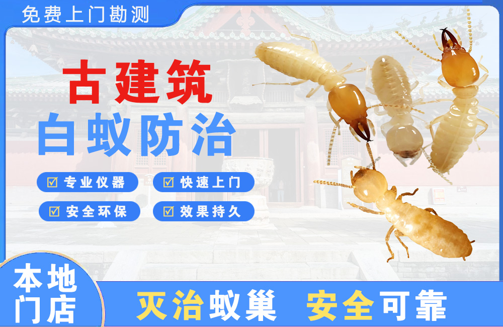 马鞍山古建筑白蚁防治
