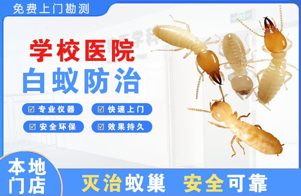 马鞍山学校医院白蚁防治