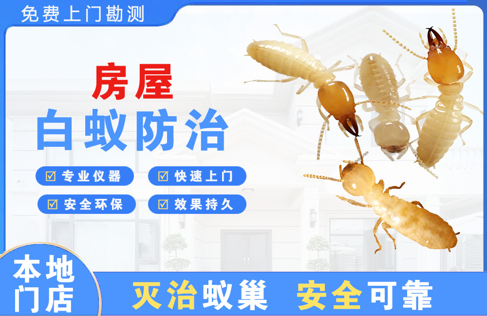 马鞍山房屋白蚁防治